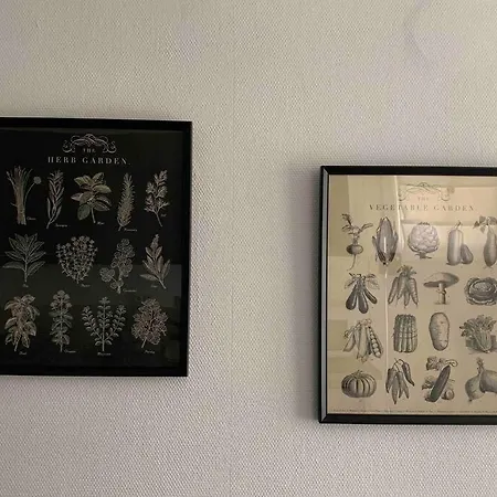 Joli T2 Jardin Parking Proche Gare Centre Dijon