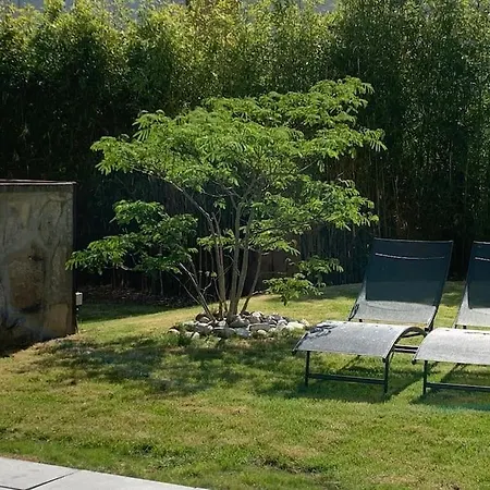 Joli T2 Jardin Parking Proche Gare Centre * Dijon