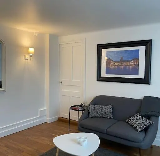 アパート Joli T2 Jardin Parking Proche Gare Centre ディジョン