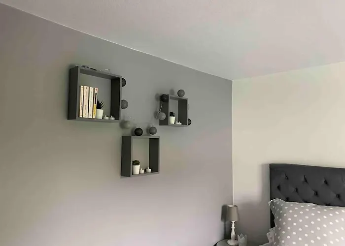 Joli T2 Jardin Parking Proche Gare Centre アパート ディジョン