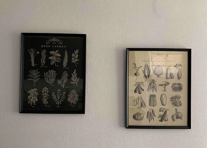 Joli T2 Jardin Parking Proche Gare Centre Digione